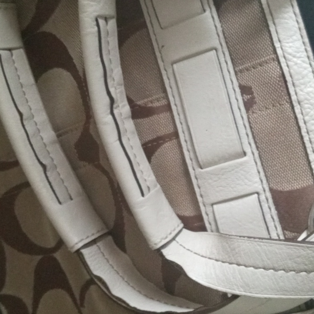 Coach Signature C Python Middle Bag - image 3